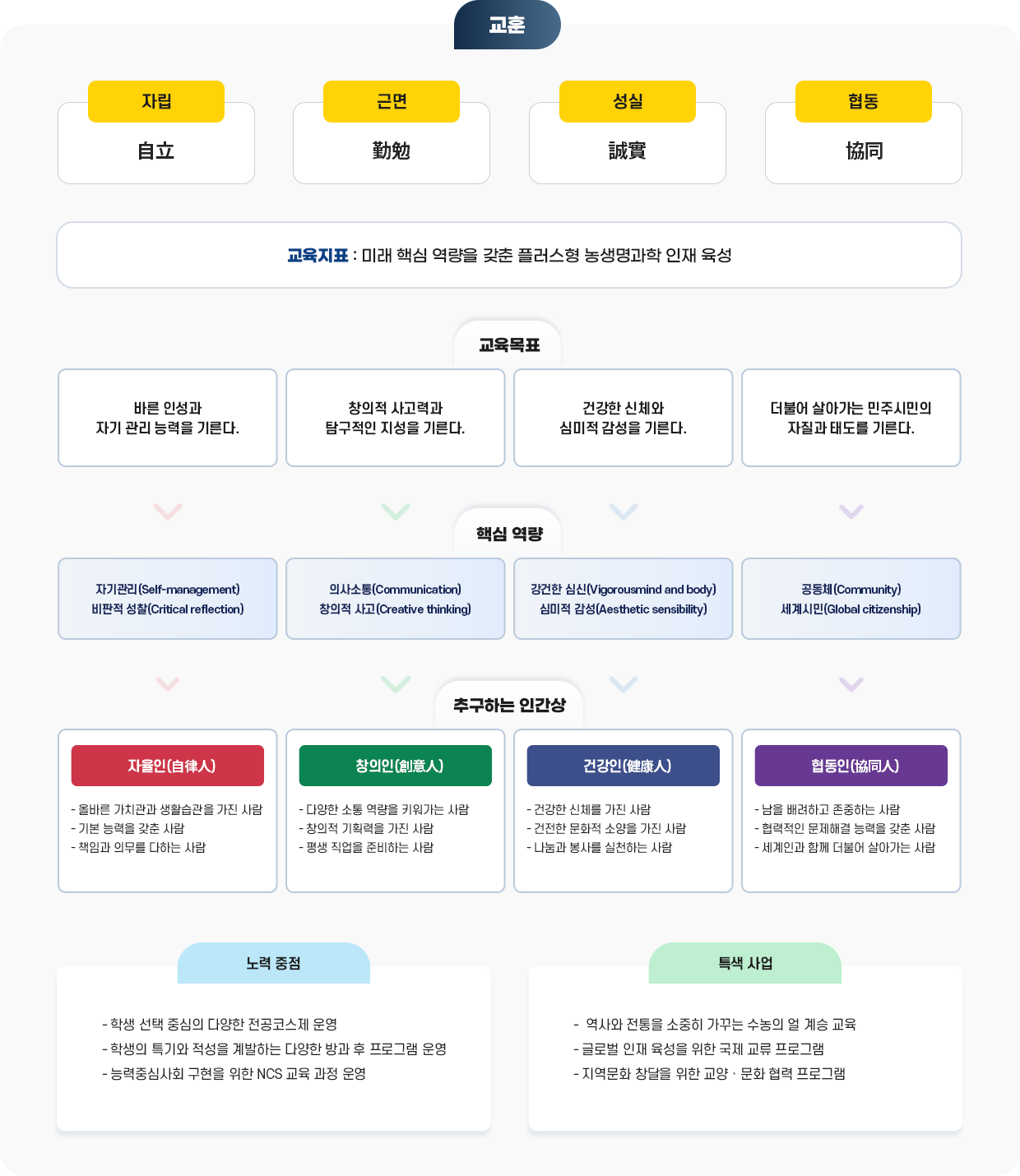 교육체계도 이미지